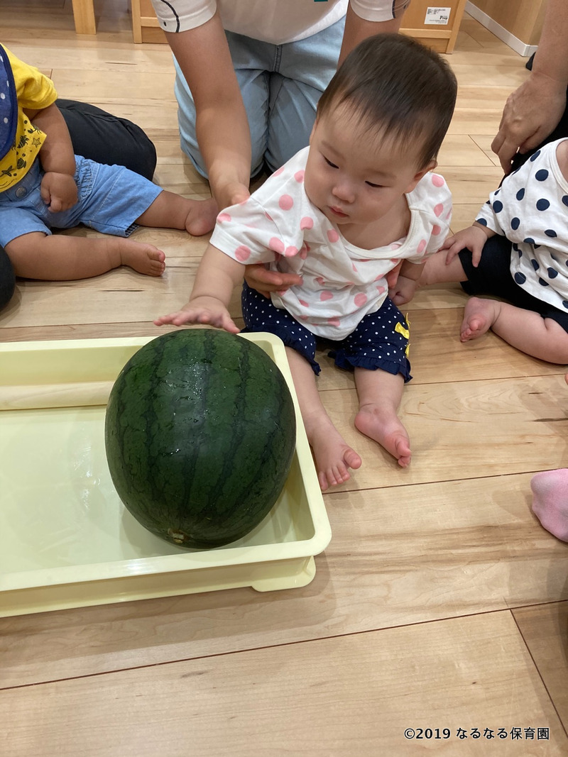 夏にぴったりの食べ物といえば なるなる保育園